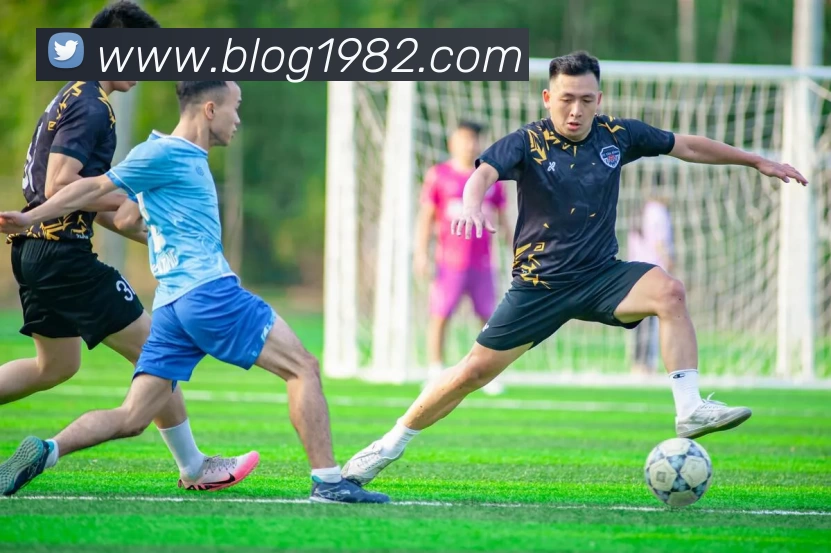 BOB娱乐网页版·最新(中国)官方网站发展历程